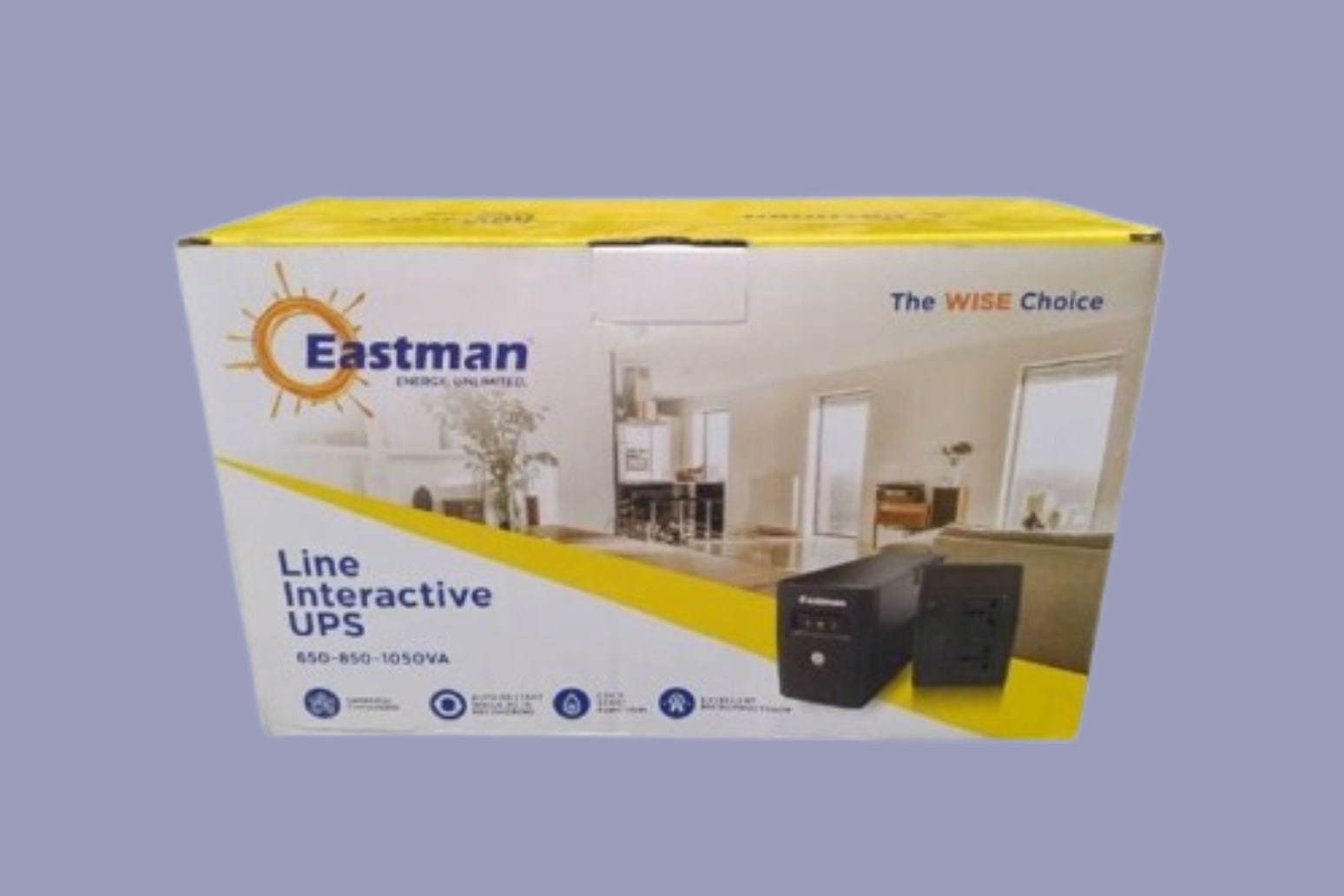 Eastman 650va Line interactive UPS